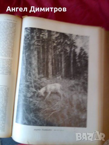   Wid and hund немско ловджийско списание 1930 - 1937 г, снимка 6 - Антикварни и старинни предмети - 37319252