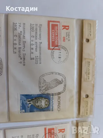 Пощенски пликове България защита на природата на Европа 1980, снимка 2 - Филателия - 48907522