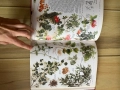 Книга за билките, снимка 6