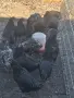 петли на четири месеца, снимка 2