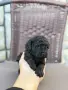 Той пудел toy poodle, снимка 5
