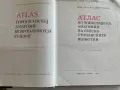 Атлас по топографска анатомия на селскостопанските животни. Том 3, снимка 3
