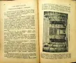 Сама по света. Кн. 1: Из Европа / Сама по света. Кн. 3: Приключения в Египетъ Милка Петрова-Коралова, снимка 7