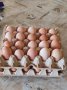 Яйца от домашни,свободно живеещи кокошки.БИО!, снимка 1