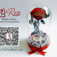 Подарък за Годишнина от Сватба / Естествена Вечна Роза в ГОЛЯМА Стъкленица/ Подарък за Любимата Жена, снимка 3 - Други - 34470517