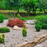 Декоративни камъни за декорация на двор, градина, зелени площи, снимка 1 - Декорация за дома - 44597136