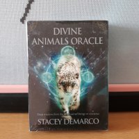 Оракул карти с животни: Divine Animals Oracle & Spirit Animal Wisdom & Whispers of the Ocean, снимка 8 - Карти за игра - 42292933