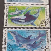 Пощенски марки смесени серий стари редки за колекция декорация поща България от соца 29296, снимка 10 - Филателия - 37711787