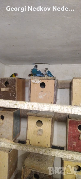 Продавам маскови неразделки, снимка 1