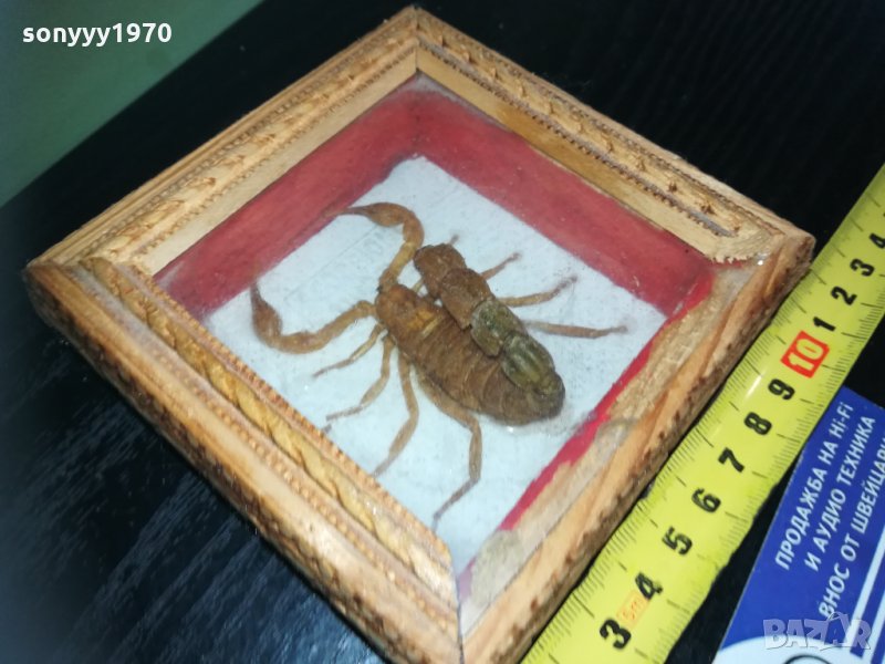 скорпион-внос france 1910201740, снимка 1