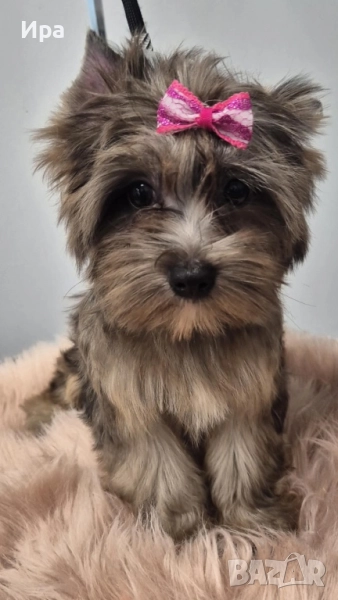 Момиче, снимка 1