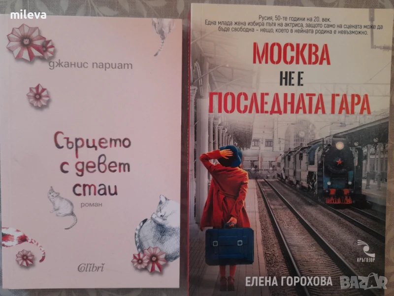 Два романа за 20лв, снимка 1