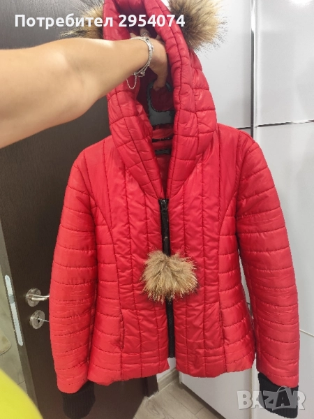 дамско яке radis xl 65лв, снимка 1