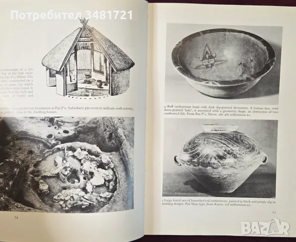 Chinese Art - илюстрирана история, снимка 4 - Изкуство, музика, кино и фотография - 55964103
