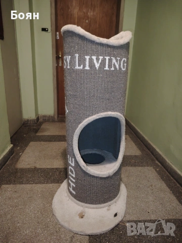 Хралупа и легло за Коте