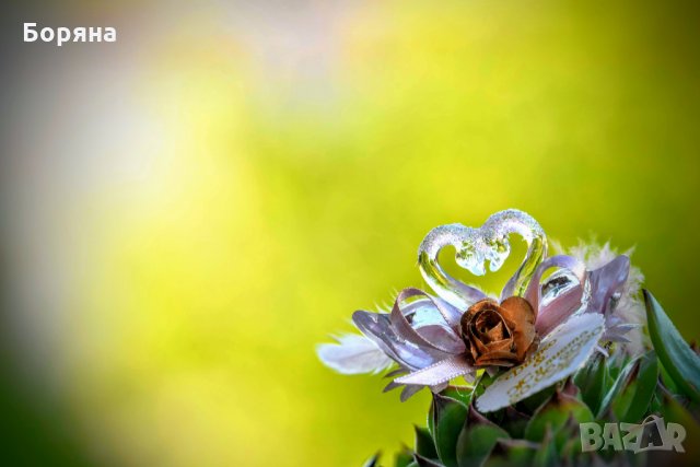 Подаръци за гости- акрилни лебеди, снимка 11 - Кетъринг - 11126903