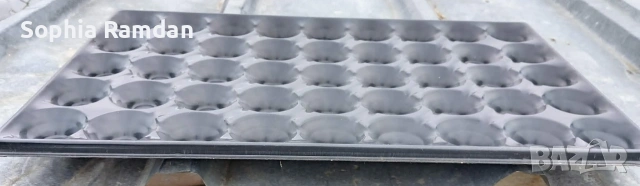 Форми за разсад