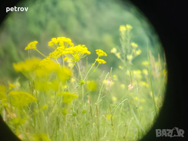 Бинокъл Carl Zeiss Jena 8х30 , снимка 12 - Екипировка - 49632270