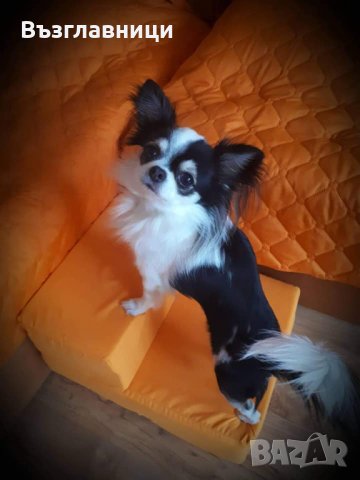 Стълбичка/стълба/стъпало за домашни любимци , снимка 9 - Други стоки за животни - 31379393