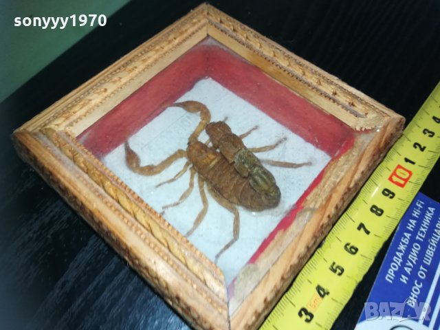 скорпион-внос france 1910201740