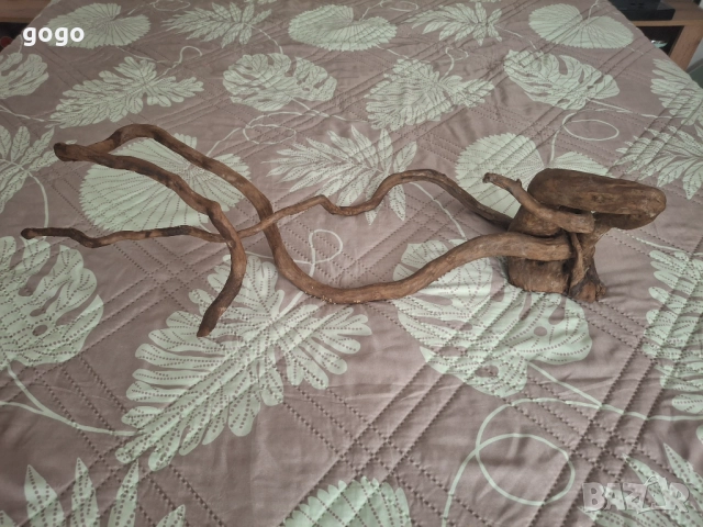 Корен за Аквариум , снимка 3 - Оборудване за аквариуми - 52511615