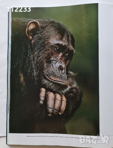 National Geographic 100-те най-добри снимки на животн, снимка 4 - Списания и комикси - 37161902