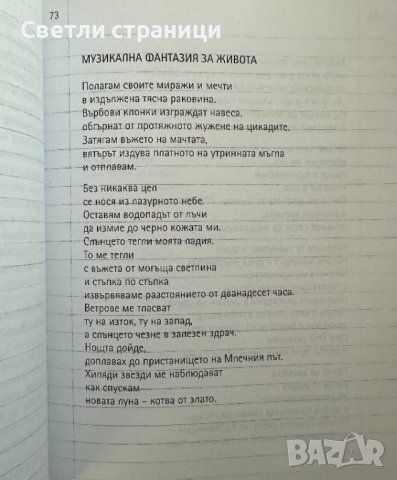 Малък лексикон на новата китайска поезия, снимка 3 - Художествена литература - 44198979