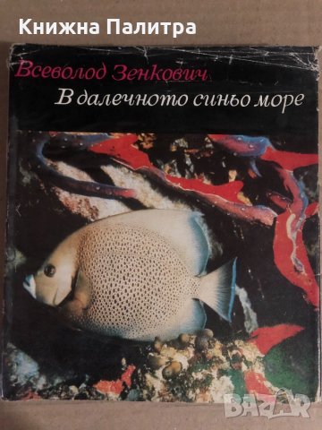 В далечното синьо море- Всеволод Зенкович