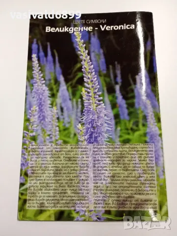 Списание "Цветя и дом", снимка 4 - Списания и комикси - 49252377