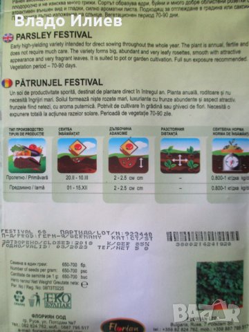 Семена за магданоз,краставици и фасул неразпечатани опаковки, снимка 3 - Сортови семена и луковици - 35184139