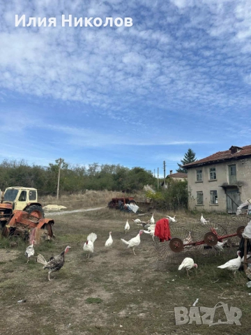 Продавам пуйки, снимка 1