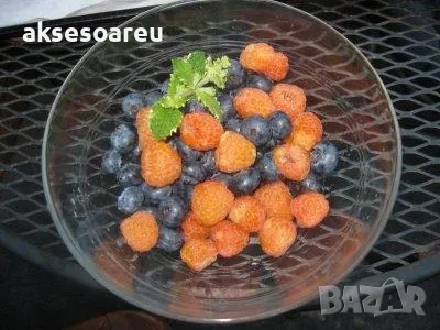 20 качествени Семена от Британска Есенна Златна Малина Златни наситени Сладки Малини сочни плодове , снимка 10 - Сортови семена и луковици - 50332013