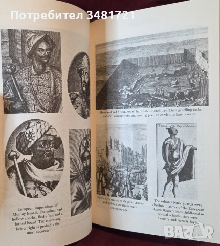 Бяло злато - европейските роби и Северна Африка / White Gold, снимка 9 - Художествена литература - 54244809