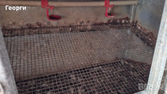 клетка за пъдпъдъци , снимка 5 - За птици - 53927988