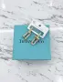 Tiffany & Co медицинска стомана обеци, снимка 1