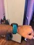 Garmin Instinct 2, снимка 11