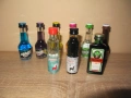 Колекция-колекционерски мини бутилки, снимка 1