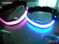 Светещи LED нашийници, размери ХS,S,M,L,XL , снимка 1