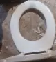 Капак за тоалетна чиния, снимка 2