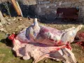 продавам прясно телешко месо, снимка 5