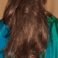 Дълга опашка-перука- 72 см-в пепеляво русо, снимка 2 - Аксесоари за коса - 31936745