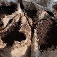 Тор от прилепи /гуано, batguano/ на прах, снимка 2 - Тор и почвени смеси - 44498974
