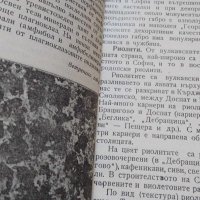 Каменните одежди на София - Иван Борисов, снимка 4 - Българска литература - 42757013