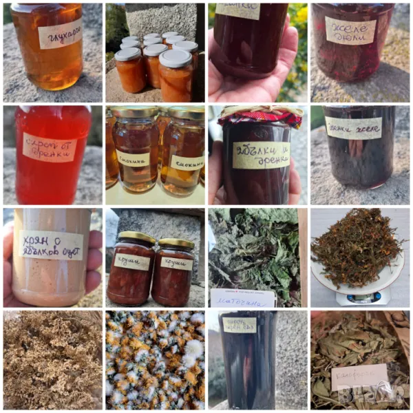 Домашни сладка, сиропи, желета, хрян и сушени билки, снимка 1