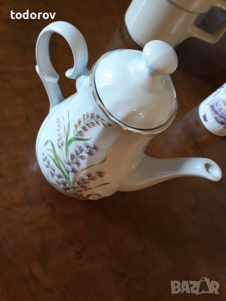 Кана порцеланова , снимка 1