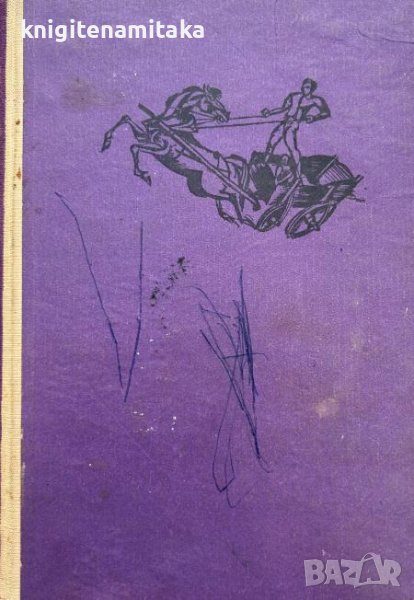 Чуждият - Ирена Юргелевичова, снимка 1