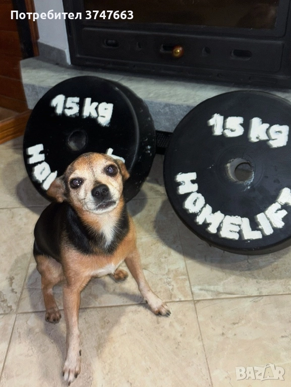 HOMELIFT - Изработени Фитнес дискове , снимка 1