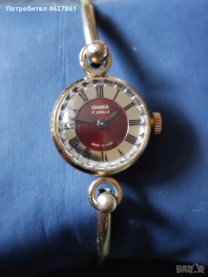 Чайка гривна , снимка 1