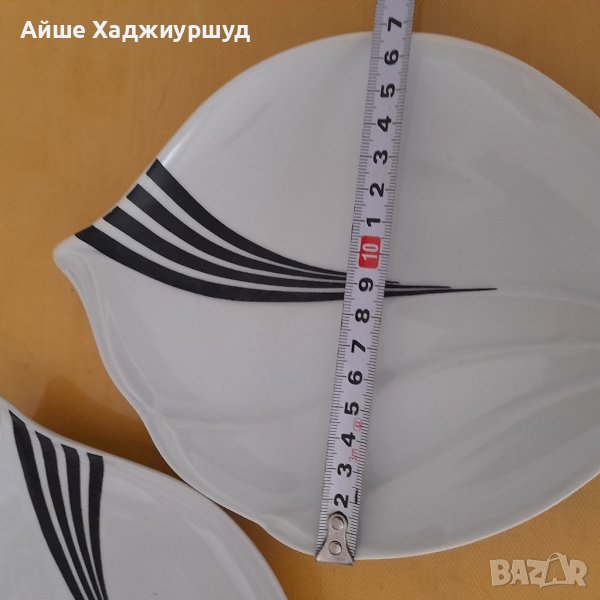 Чиния листо, снимка 1