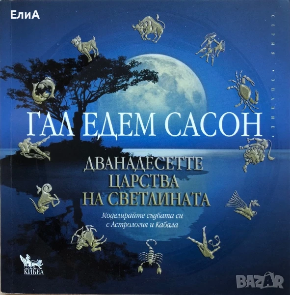 Дванадесетте Царства На Светлината - Гал Едем Сасон, снимка 1